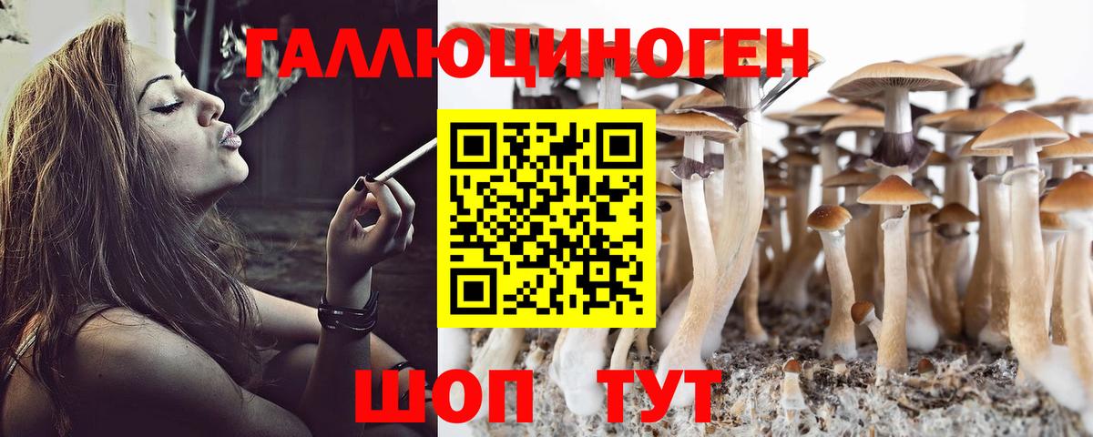 Александров  Псилоцибиновые грибы мицелий  продажа наркотиков  Псилоцибиновые грибы Psilocybe  Вход с VPN 